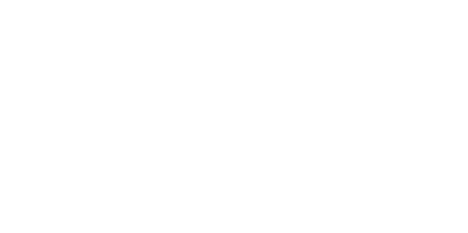 mad-monkey-logo